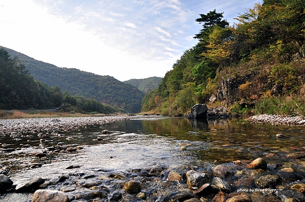 사용자 삽입 이미지