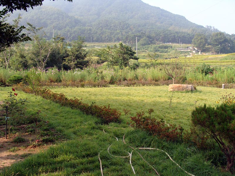 사용자 삽입 이미지