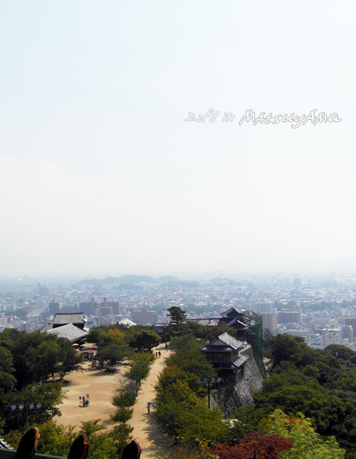 사용자 삽입 이미지