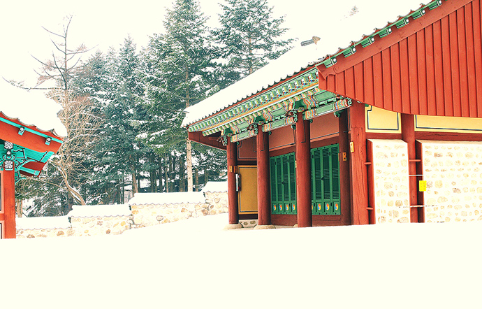 사용자 삽입 이미지