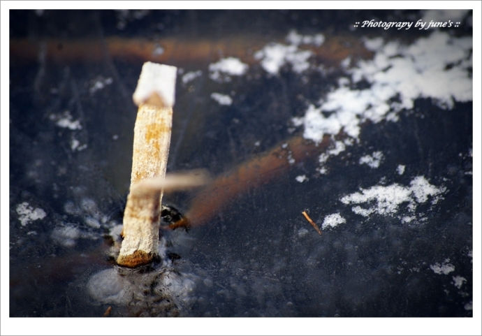 Photogrpy,겨울출사,포토