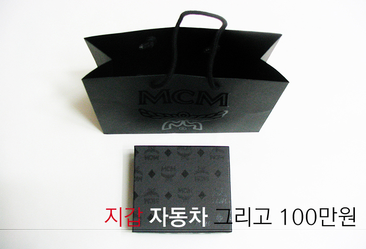 미숙한 주차가 불러온 손실