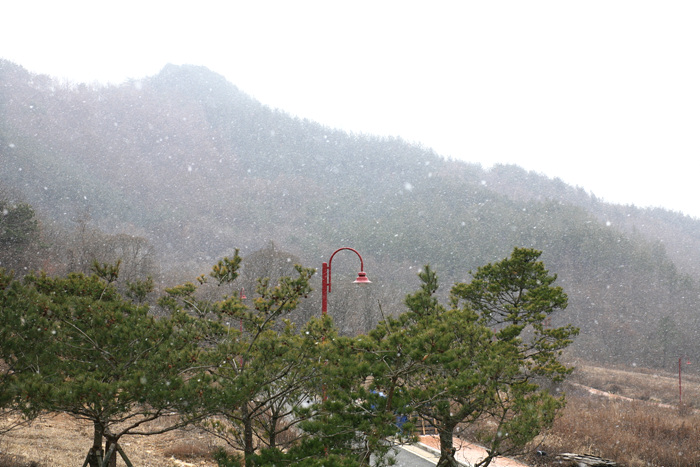 사용자 삽입 이미지