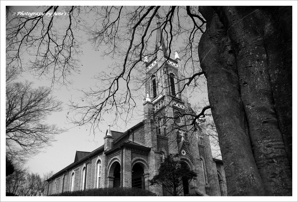 공세리성당,church,성당사진