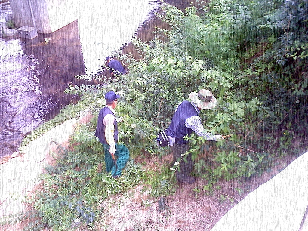 사용자 삽입 이미지