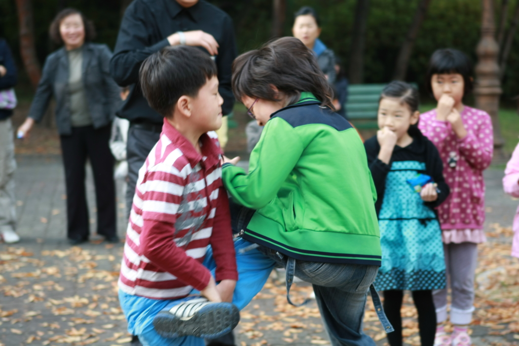 사용자 삽입 이미지