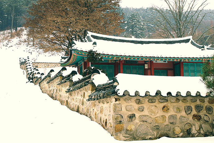 사용자 삽입 이미지