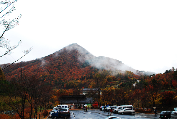 사용자 삽입 이미지