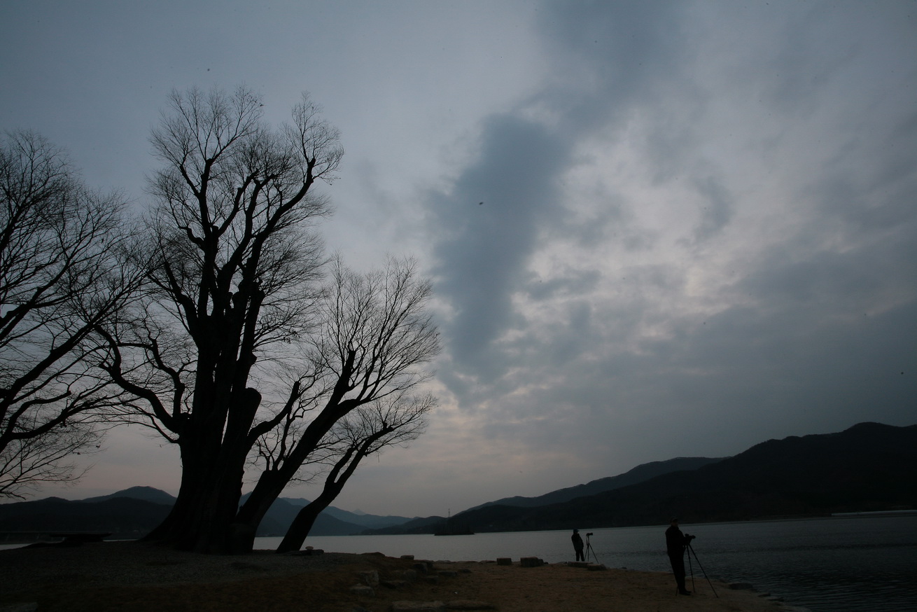 사용자 삽입 이미지