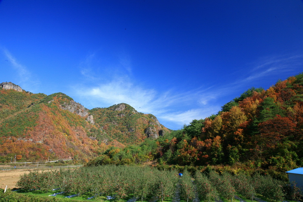 사용자 삽입 이미지