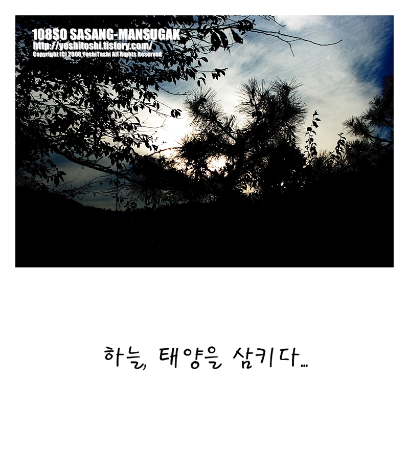 태양, 하늘, 꽃3