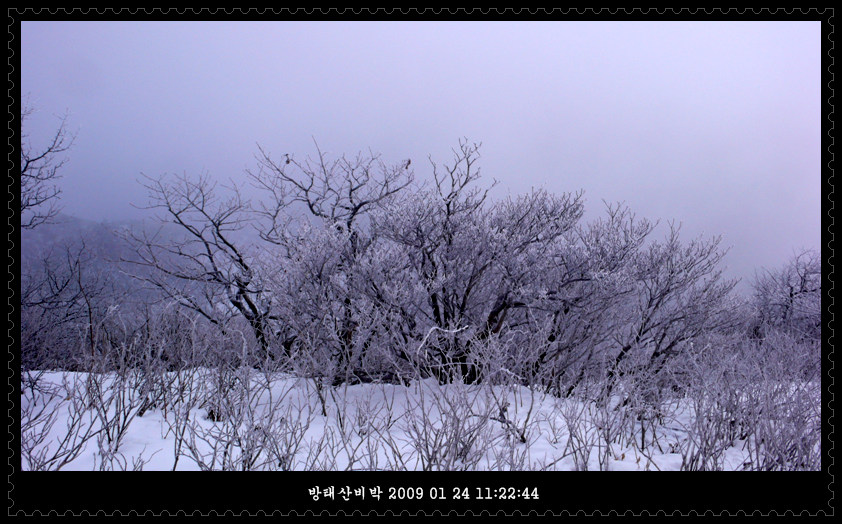 방태산 비박