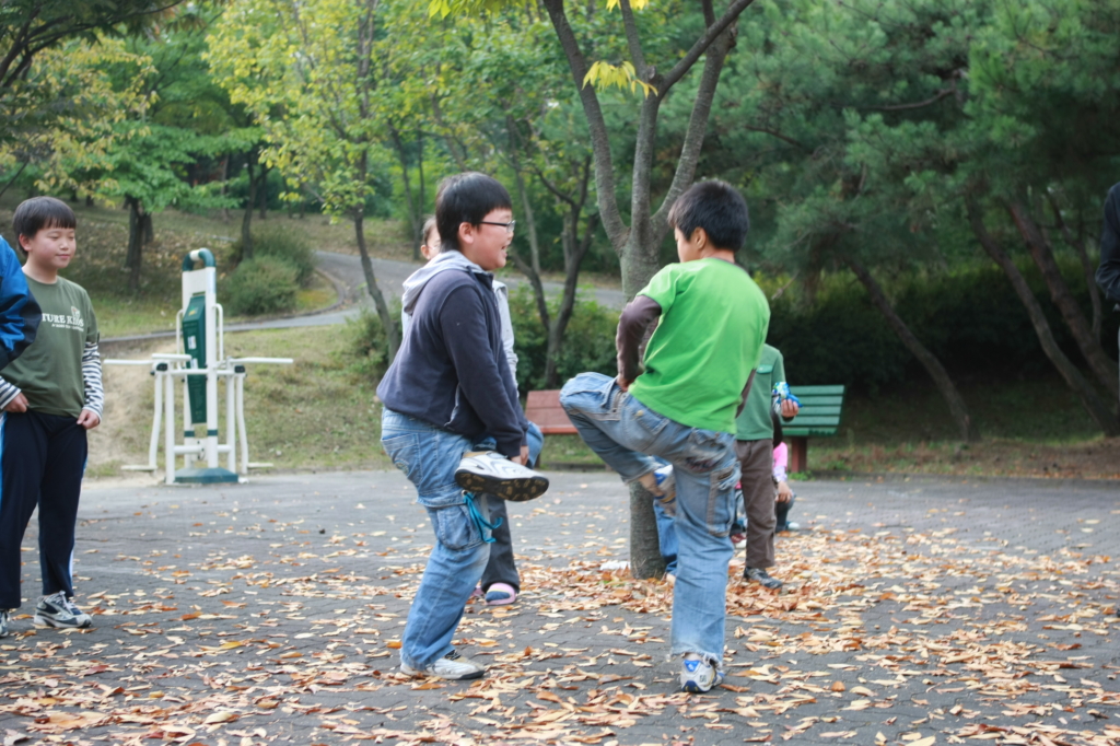 사용자 삽입 이미지