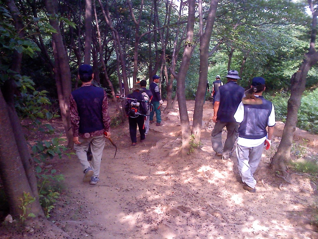 사용자 삽입 이미지
