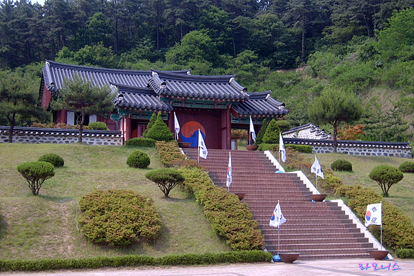 사용자 삽입 이미지