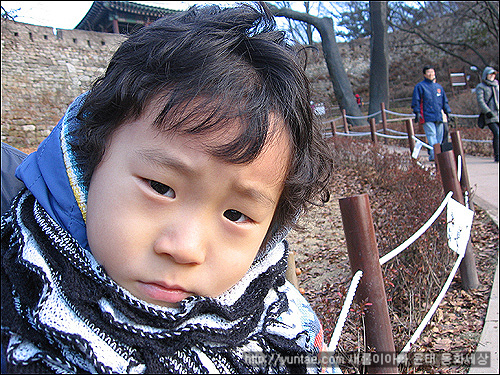 사용자 삽입 이미지