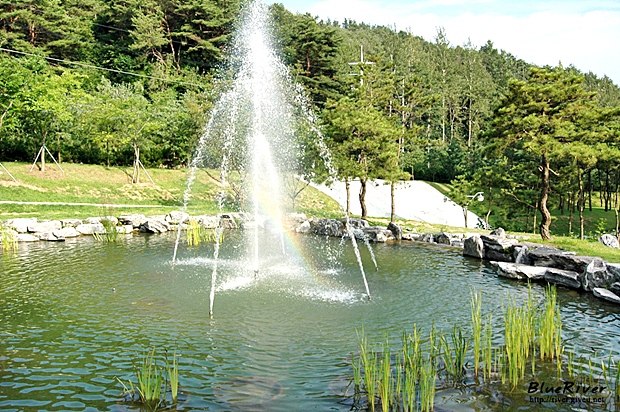 사용자 삽입 이미지