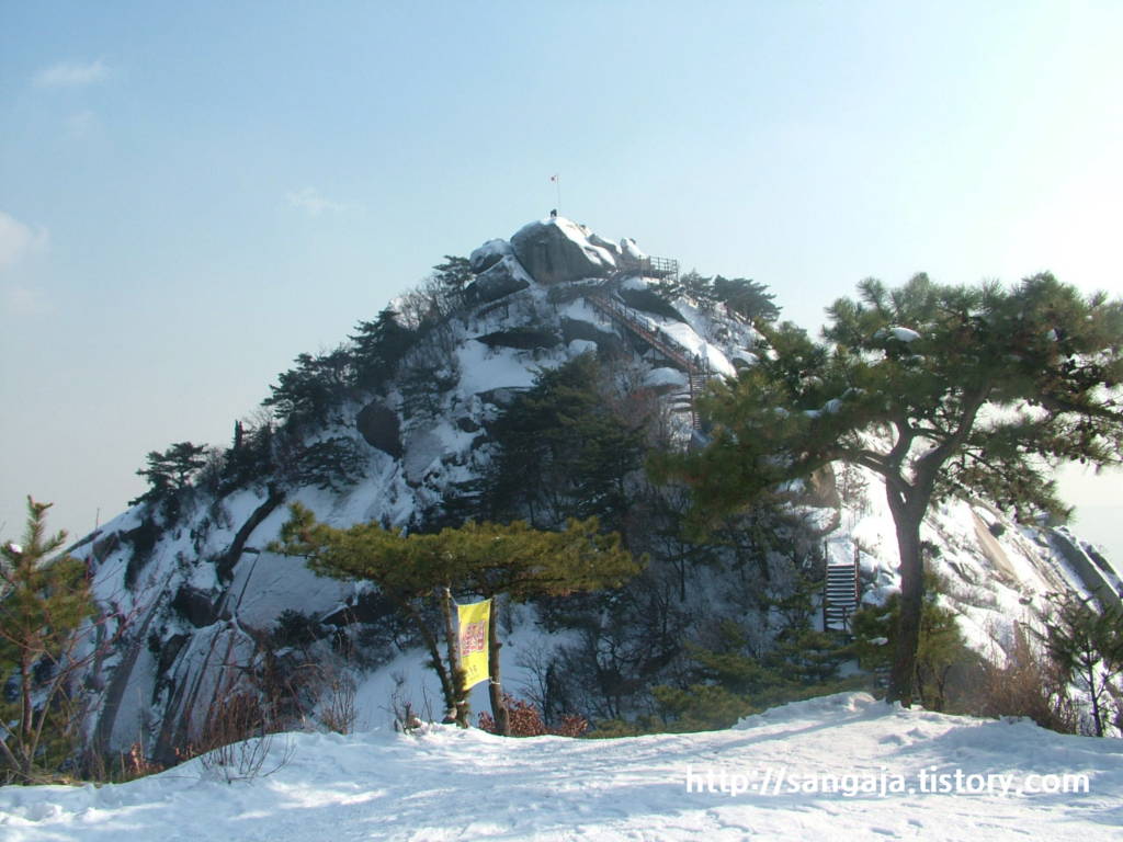 사용자 삽입 이미지