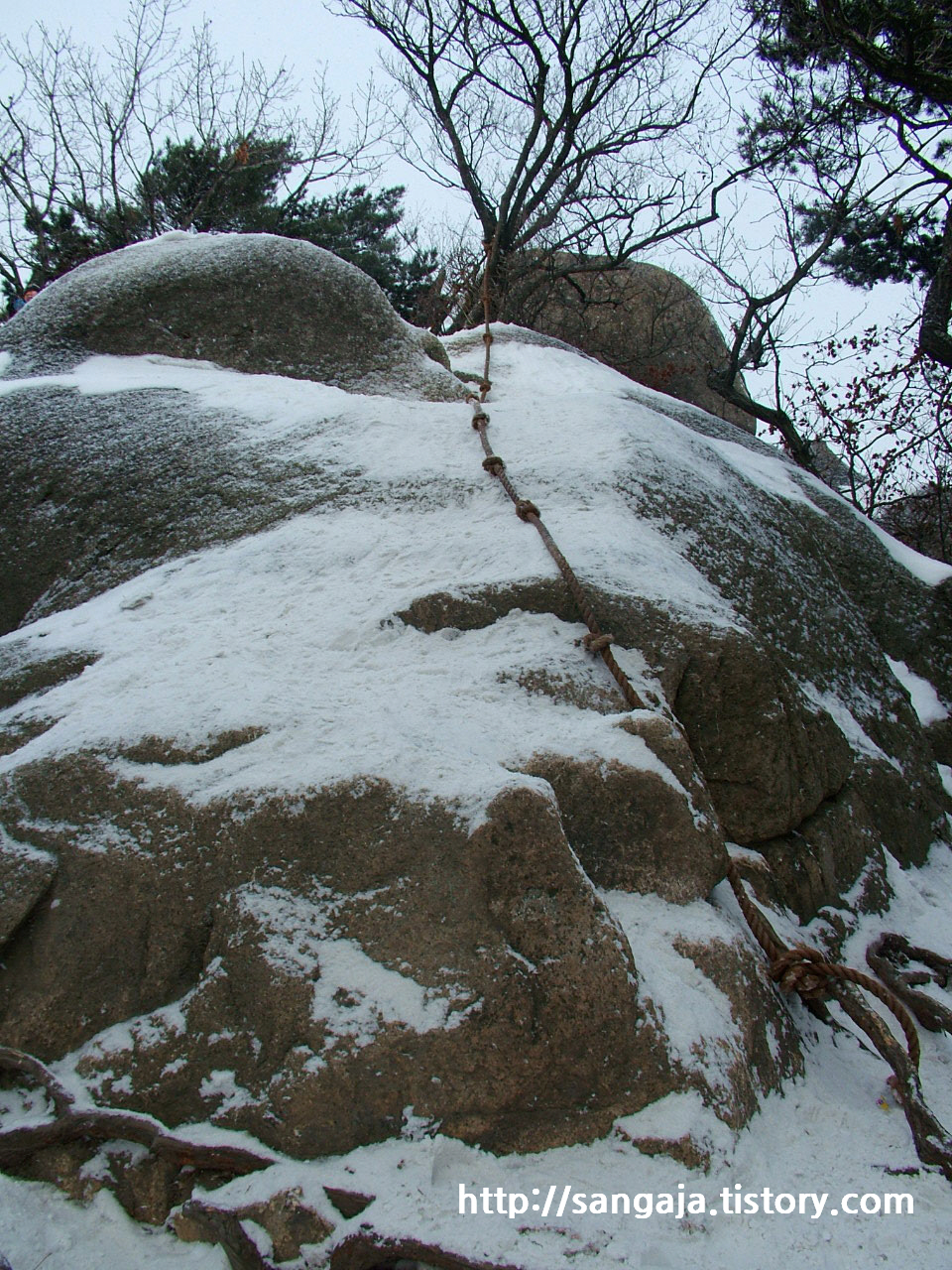 사용자 삽입 이미지