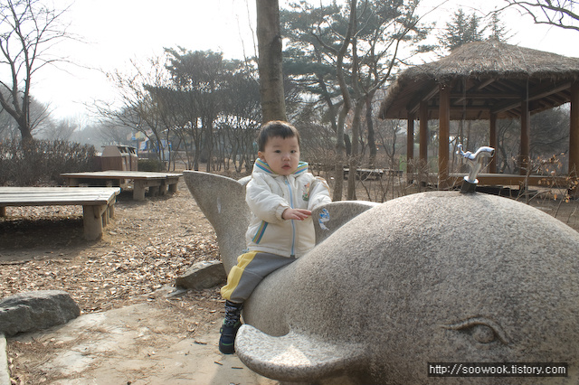 사용자 삽입 이미지