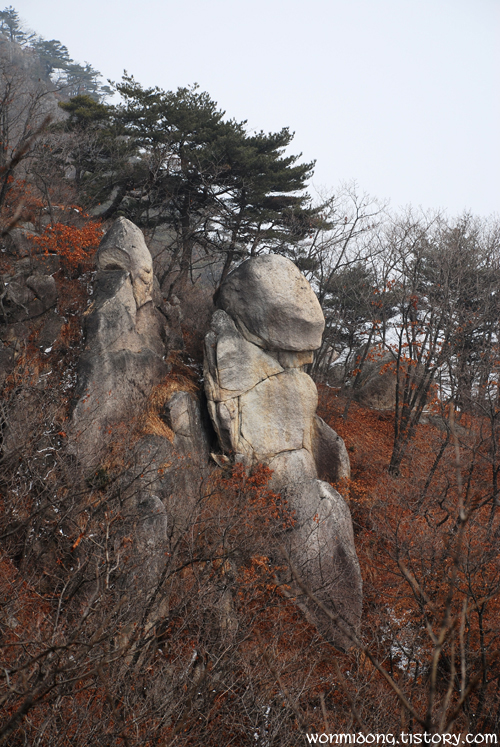 사용자 삽입 이미지