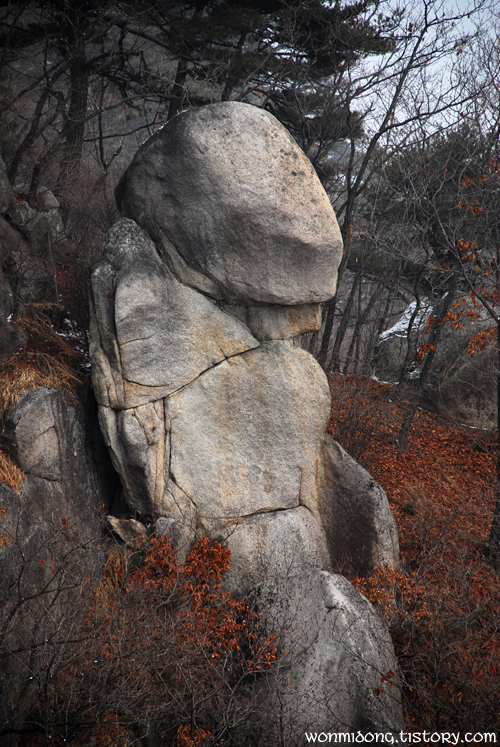 사용자 삽입 이미지