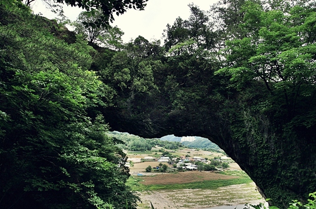 사용자 삽입 이미지