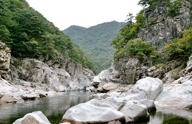 사용자 삽입 이미지