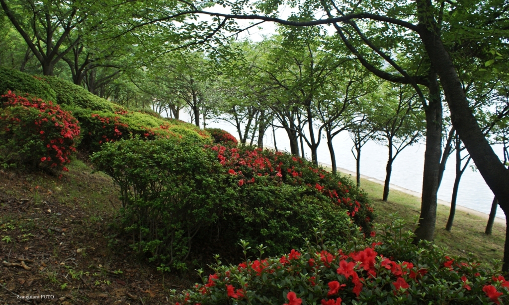 보문호 산책로