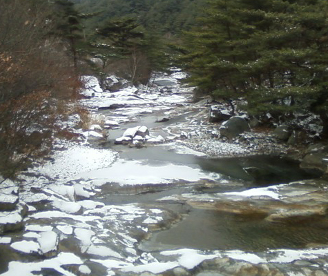 사용자 삽입 이미지