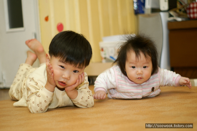 사용자 삽입 이미지