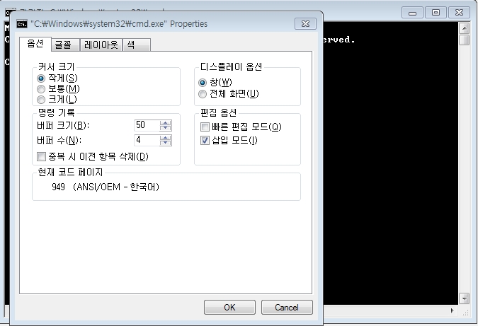 사용자 삽입 이미지