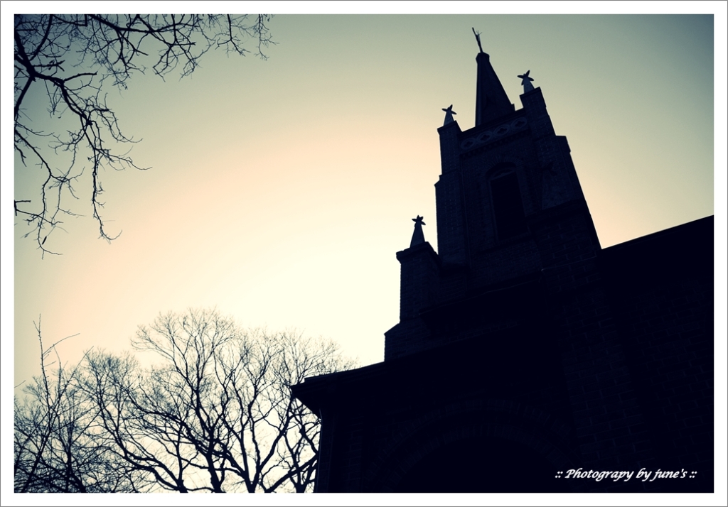 공세리성당,church,성당사진