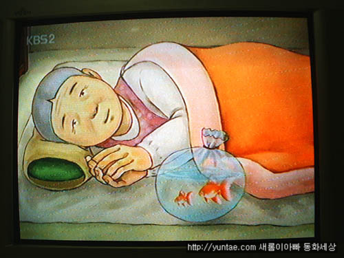 사용자 삽입 이미지