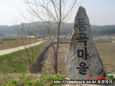 사용자 삽입 이미지
