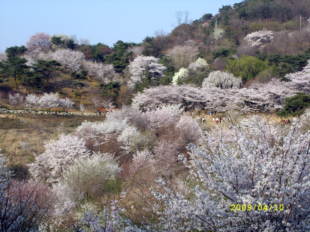 사용자 삽입 이미지