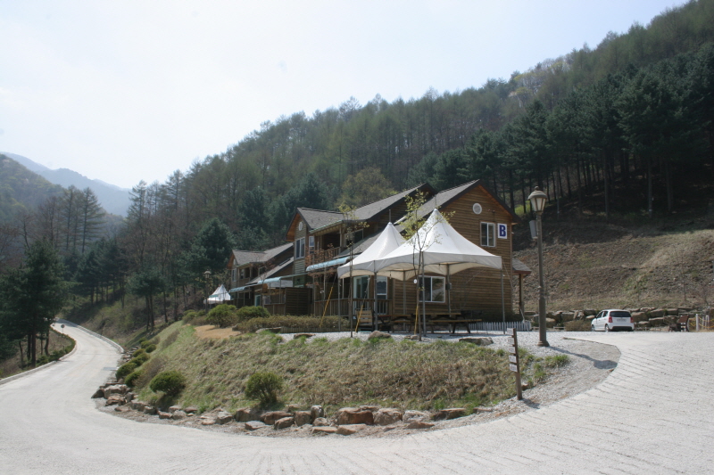 사용자 삽입 이미지