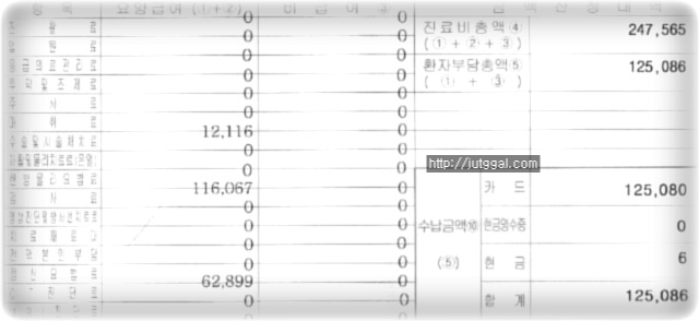 결국 울며겨자먹기 식으로, CT비용 및 검사비를 또 지출했습니다!