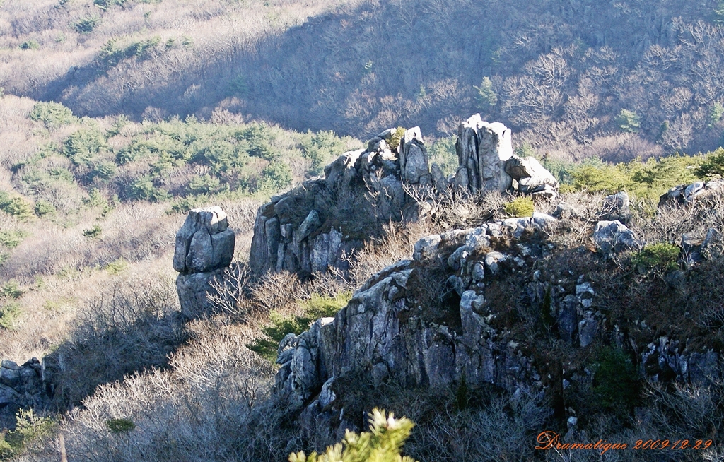 사용자 삽입 이미지