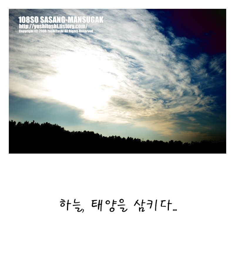 태양, 하늘, 꽃2