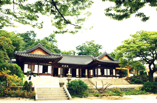 사용자 삽입 이미지