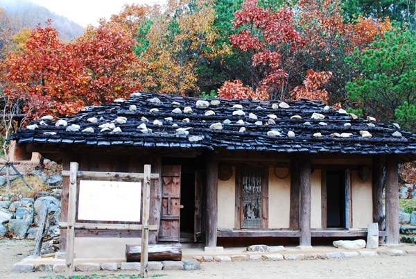 사용자 삽입 이미지