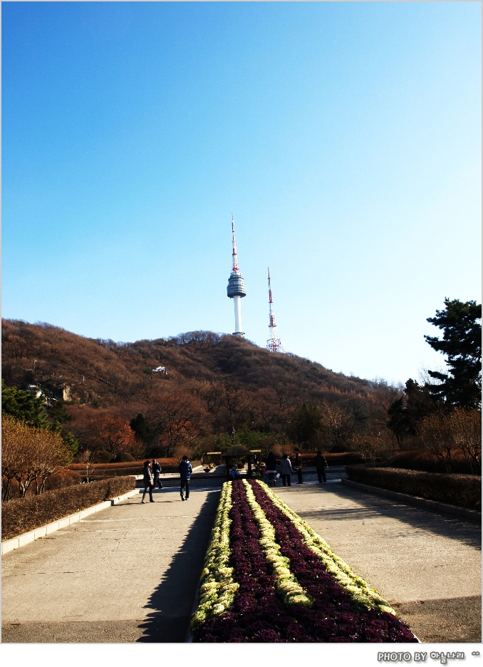 사용자 삽입 이미지