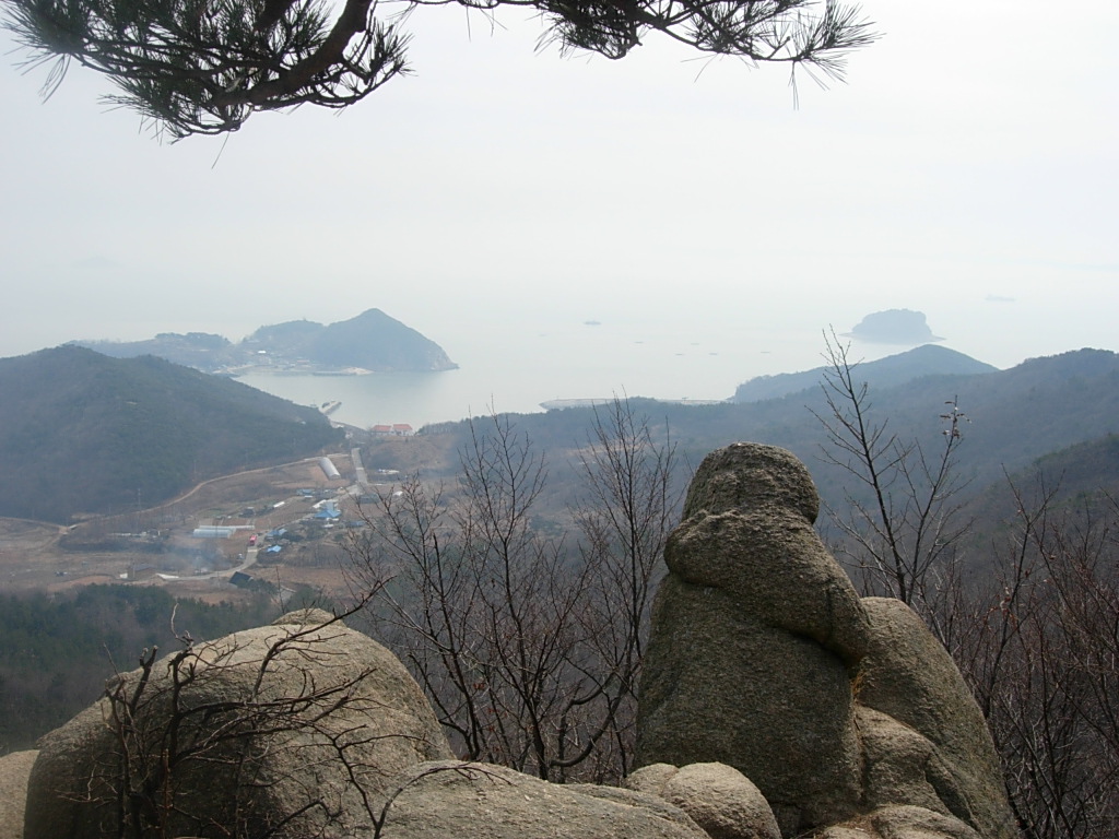 사용자 삽입 이미지