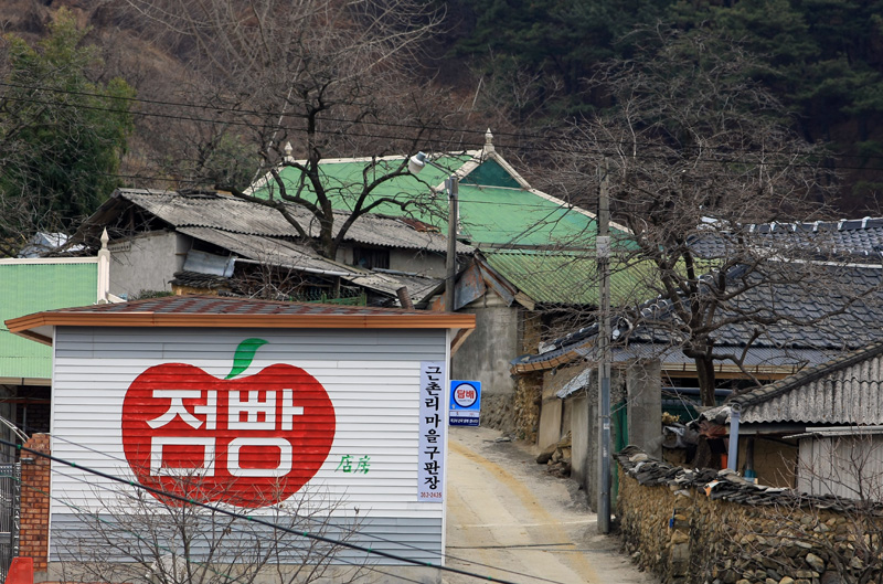 사용자 삽입 이미지