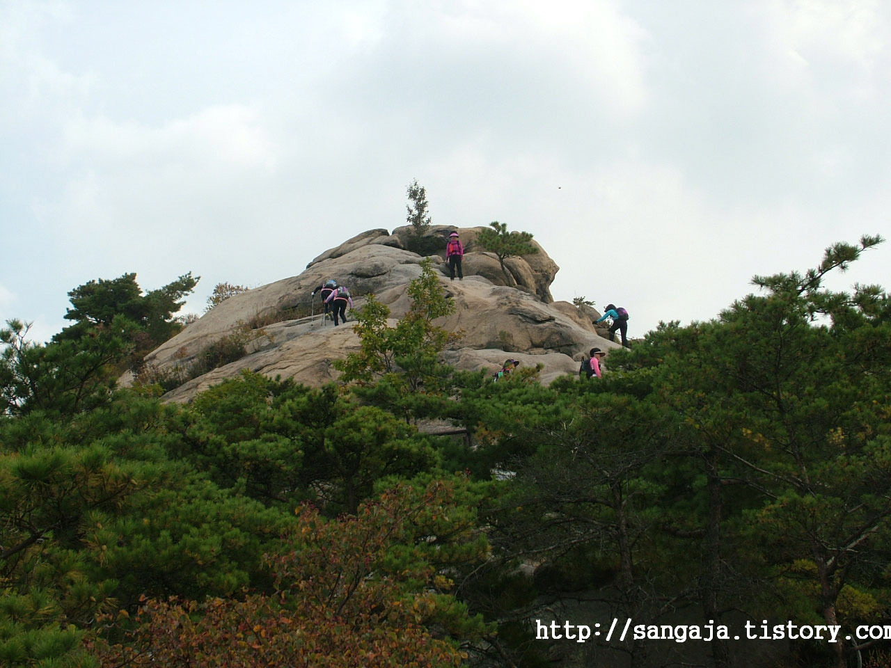 사용자 삽입 이미지