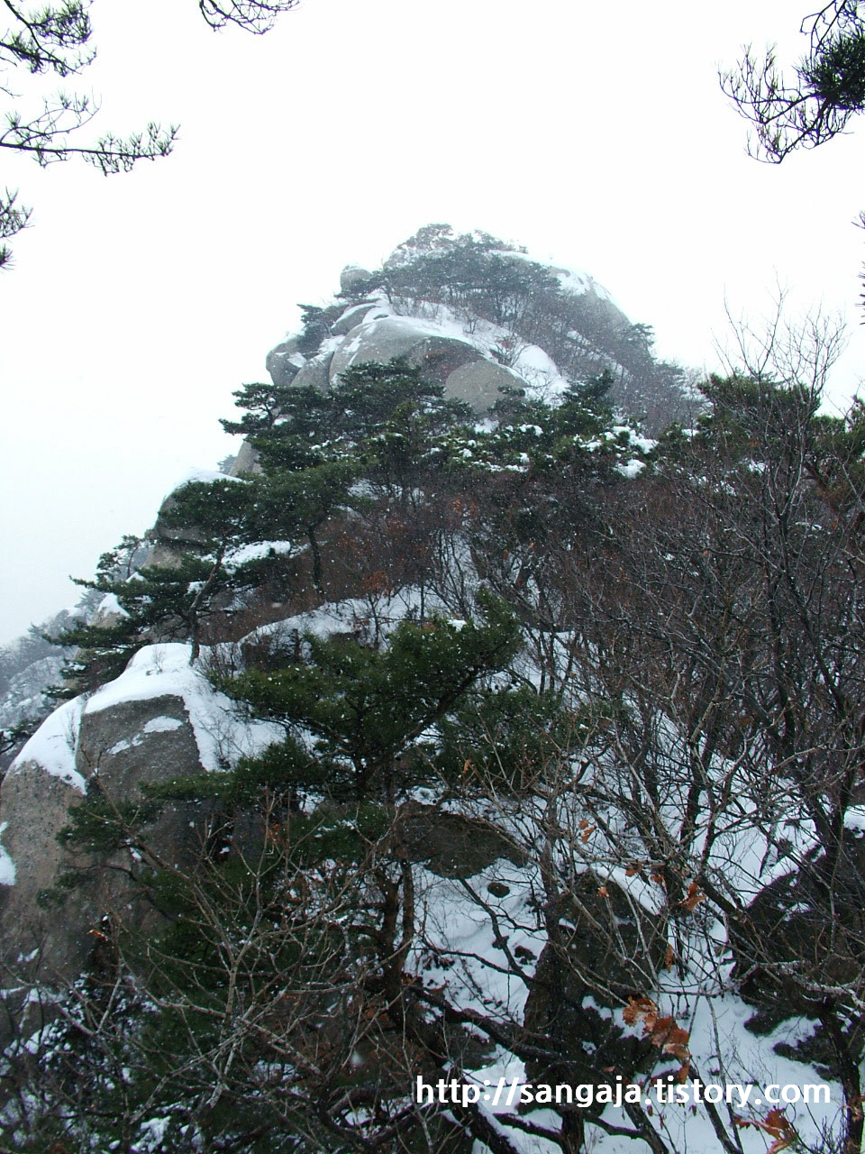 사용자 삽입 이미지