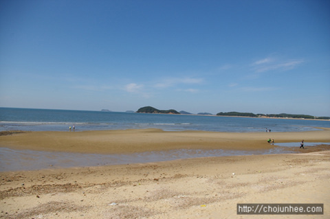 사용자 삽입 이미지