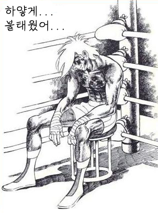 사용자 삽입 이미지