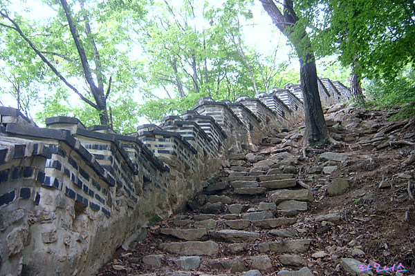 사용자 삽입 이미지